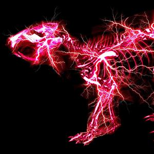 白丝美女自慰在线观看一区
