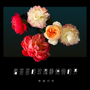 白丝美女自慰在线观看一区
