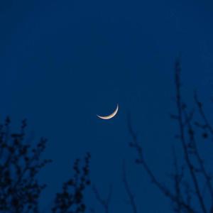 白丝美女自慰在线观看一区
